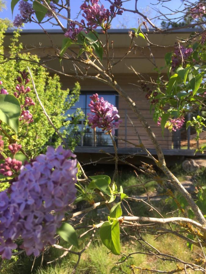 Gite La Cerise Qui Rit La Cresse Eksteriør bilde
