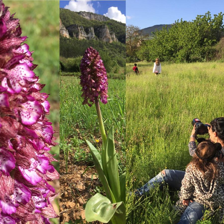 Gite La Cerise Qui Rit La Cresse Eksteriør bilde